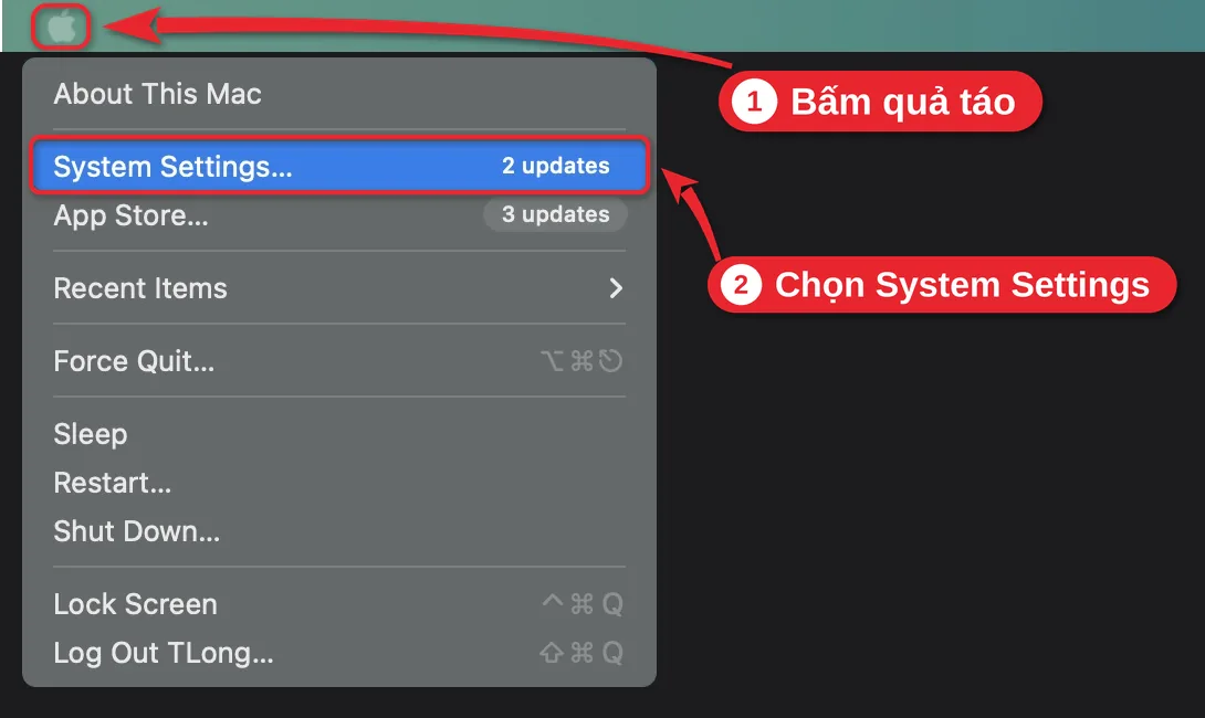 Menu quả táo ở góc trên bên trái màn hình, mục System Settings được khoanh đỏ