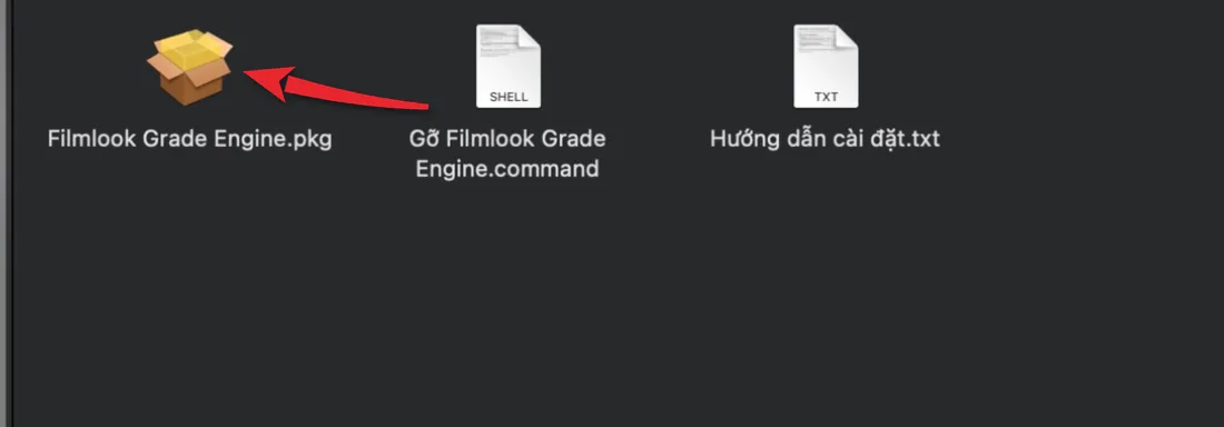Cửa sổ Filmlook Grade Engine 1.1.0 với file Filmlook Grade Engine.pkg